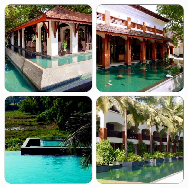 10434244_10153858706819917_7104198099770653934_n