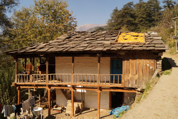 Corn drying on the roof of a house